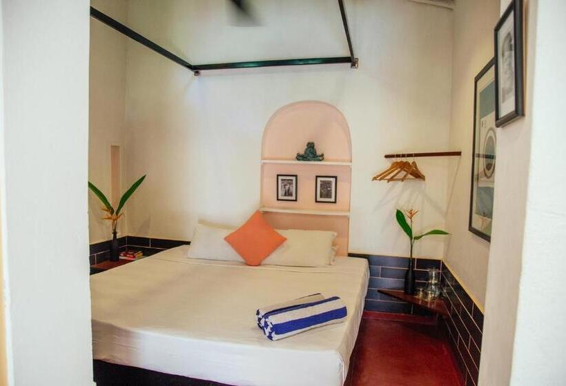 标准间, Dots Bay House