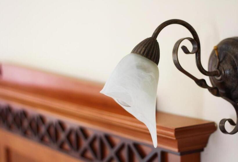 اتاق استاندارد, Ciutat Jardi
