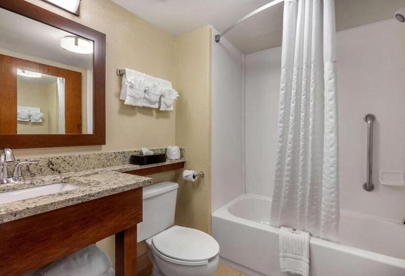 Suite Letto King, Comfort Inn & Suites Hamilton Place
