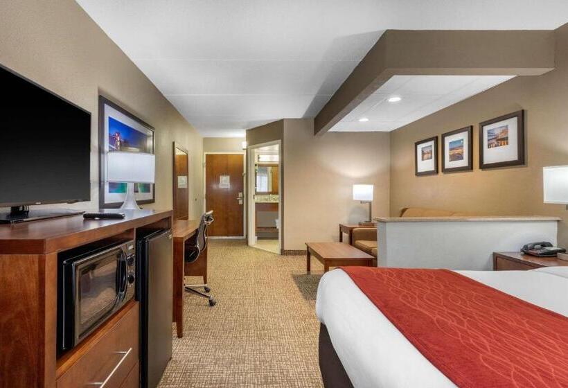 Suite Letto King, Comfort Inn & Suites Hamilton Place