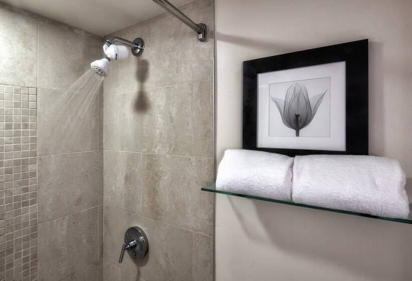 Quarto Premium, Ellis Hotel, Atlanta, A Tribute Portfolio