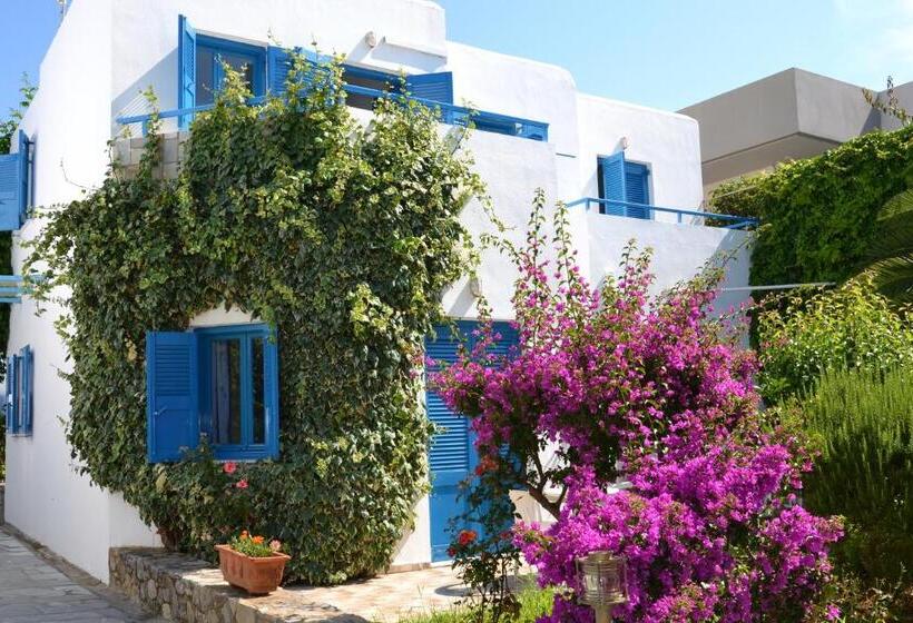 استودیوی استاندارد, Galeana Beach