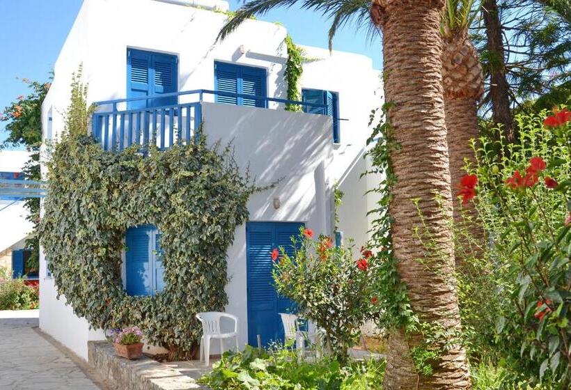 استودیوی استاندارد, Galeana Beach