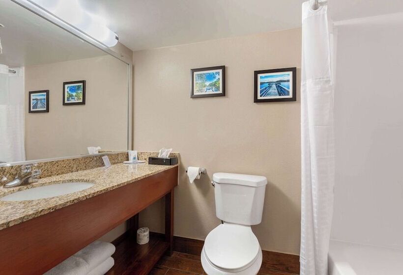 Люкс, Comfort Inn & Suites