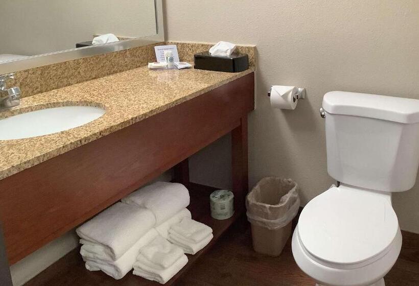 Люкс, Comfort Inn & Suites