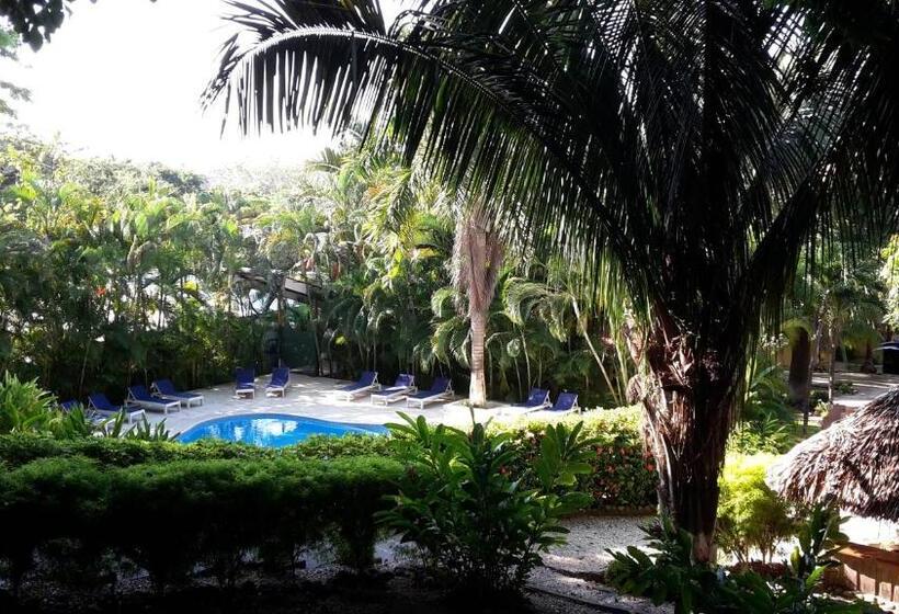 اتاق استاندارد با چشم‌انداز استخر, Esencia Hotel And Villas