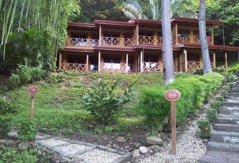 اتاق استاندارد با چشم‌انداز استخر, Esencia Hotel And Villas