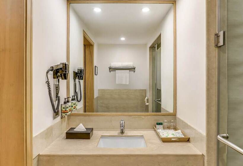 行政房间, Lemon Tree Premier City Center
