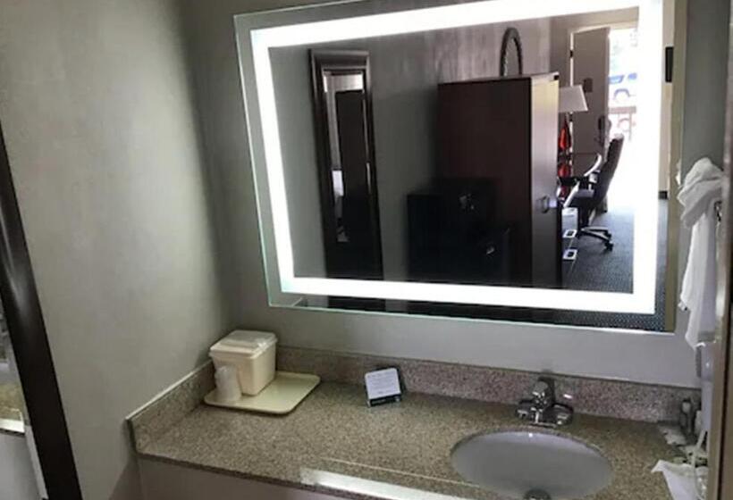 Номер Стандарт Адаптированный для Инвалидов, Quality Inn Christiansburg  Blacksburg