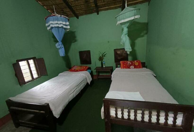 اتاق اکونومی, Crocodile Safari Camp
