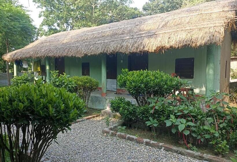 اتاق اکونومی, Crocodile Safari Camp