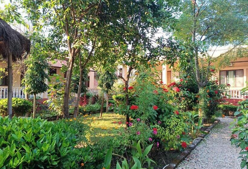 اتاق استاندارد, Crocodile Safari Camp