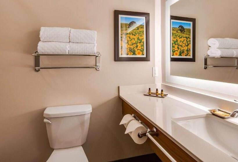 장애인을 위한 킹사이즈 침대 스탠다드 룸, Best Western Plus Jefferson