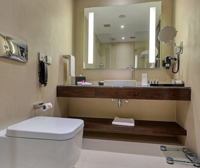 اتاق استاندارد با چشم‌انداز دریاچه, Sahara Star