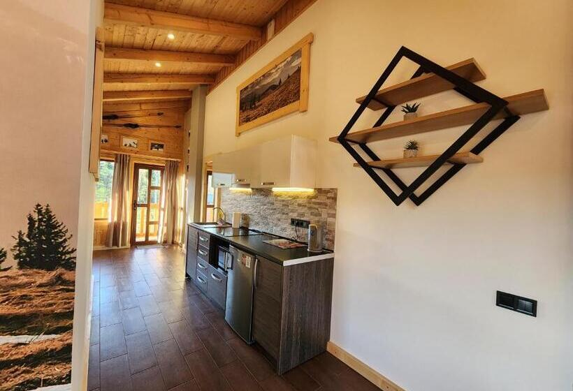 آپارتمان 1 خوابه با بالکن, Apartments Chalet Girska Hatyna