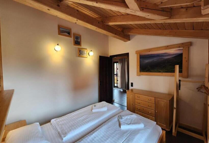 آپارتمان لوکس 1 خوابه, Apartments Chalet Girska Hatyna