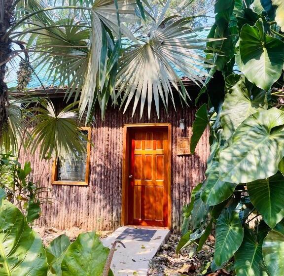 سوییت خانوادگی, Mariposa Jungle Lodge
