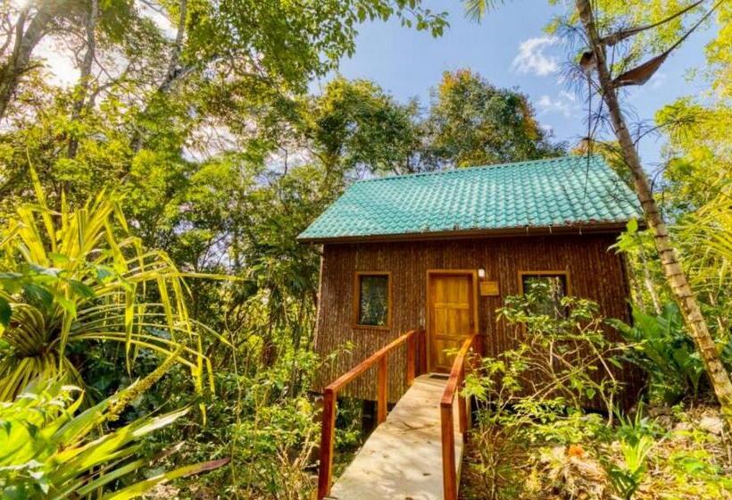 اتاق لوکس با تخت بزرگ, Mariposa Jungle Lodge