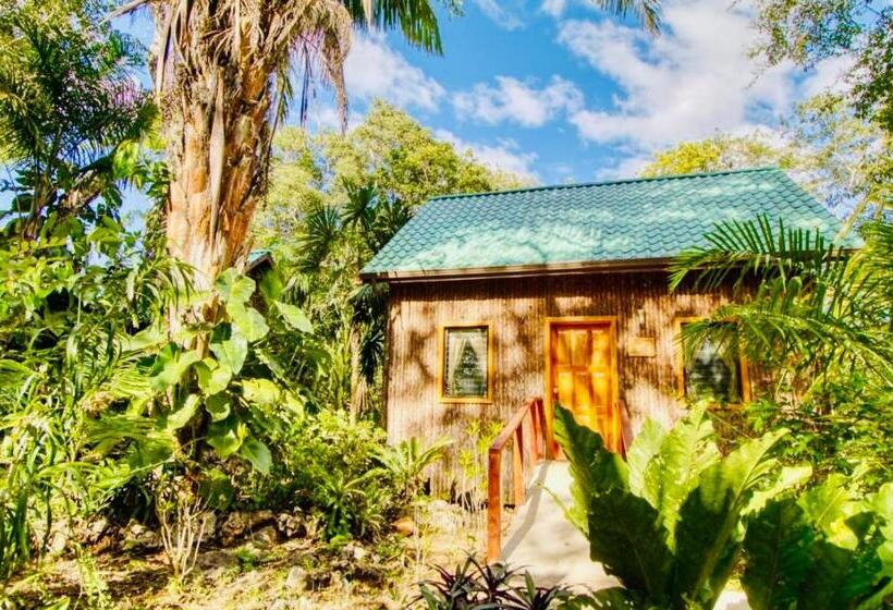 اتاق لوکس چهار تخته, Mariposa Jungle Lodge