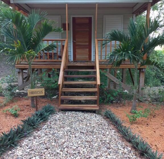 اتاق سوپریور, Mariposa Jungle Lodge