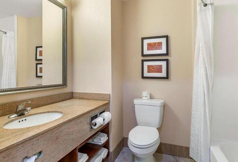 Люкс Кровать Кинг, Holiday Inn Express & Suites Leesburg   Historic District, An Ihg