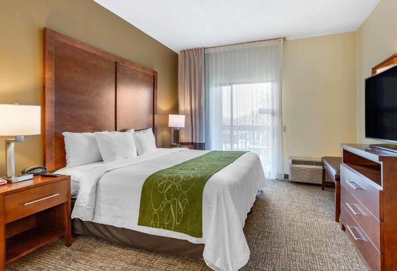 Люкс Executive Кровать Кинг, Holiday Inn Express & Suites Leesburg   Historic District, An Ihg