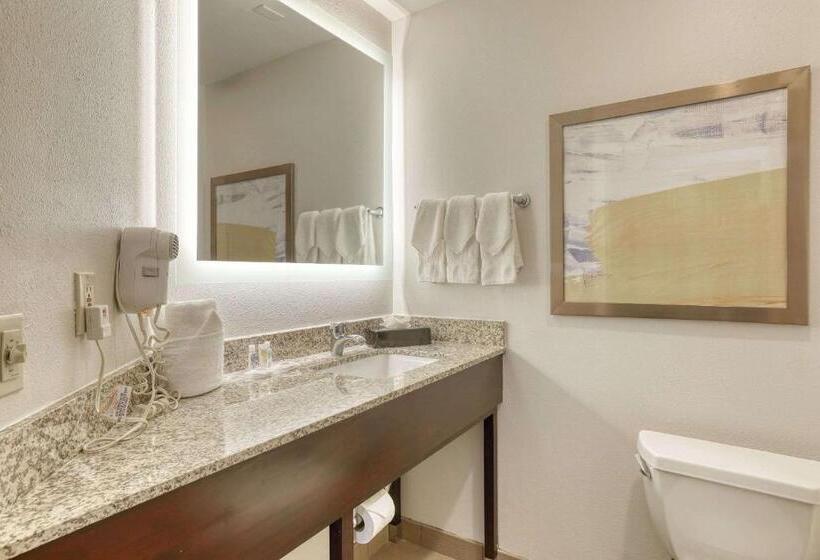 Люкс Кровать Кинг, Comfort Suites Milwaukee Airport