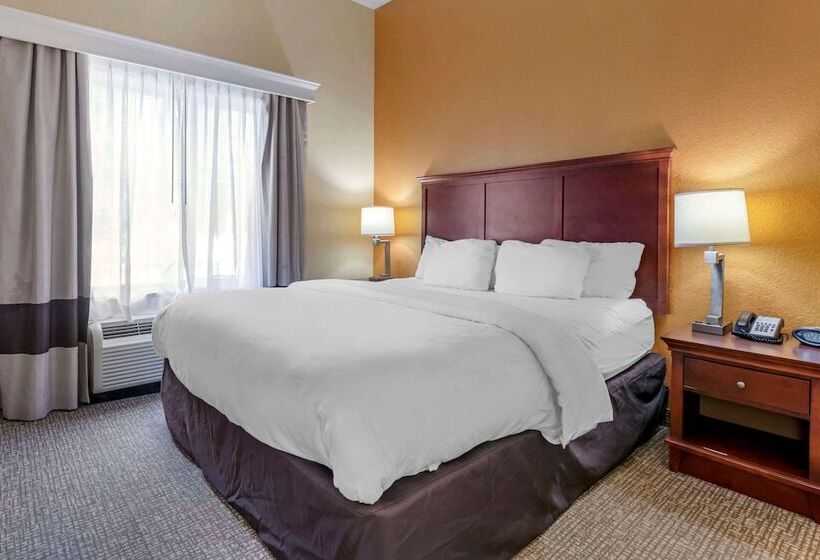 Люкс Адаптированный для Инвалидов, Comfort Suites Ocala North