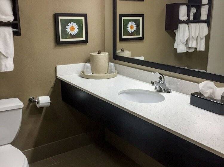 Люкс Кровать Кинг, Comfort Suites Regency Park