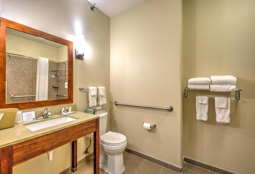 스위트, Comfort Suites Tomball Medical Center