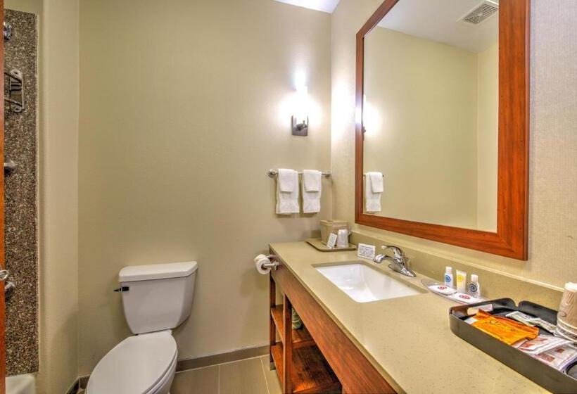 장애인을 위한 스위트, Comfort Suites Tomball Medical Center