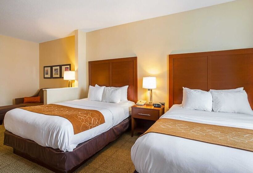 Люкс, Comfort Suites