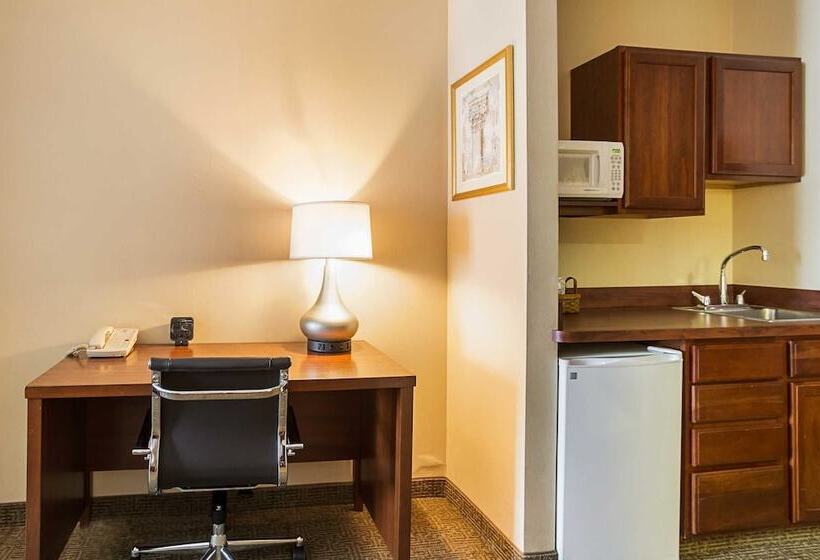 Люкс, Comfort Suites