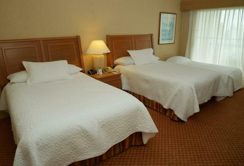 اتاق استاندارد سه نفره, Enjoy Punta Del Este