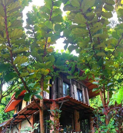 Estúdio Familiar, S`ekar Pinang Langkawi