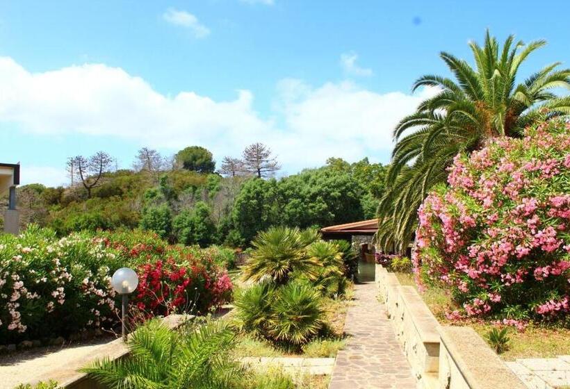 آپارتمان سوپریور 1 خوابه, Residence Les Oliviers