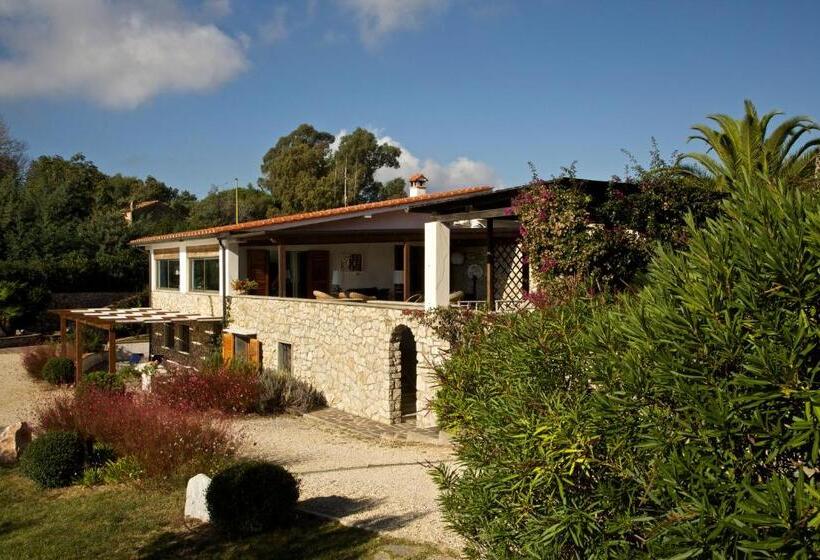 استودیو استاندارد با تراس, Residence Les Oliviers