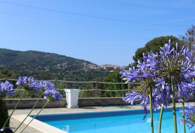 استودیو استاندارد با تراس, Residence Les Oliviers