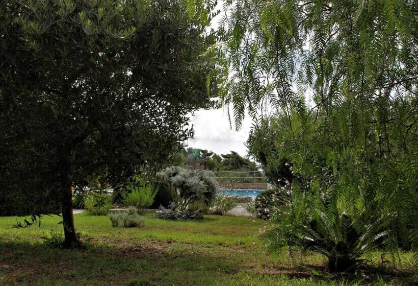 استودیو استاندارد با تراس, Residence Les Oliviers