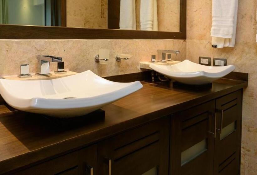 1 Bedroom Penthouse Apartment, Aligio Apart Hotel & Spa   Las Terrenas
