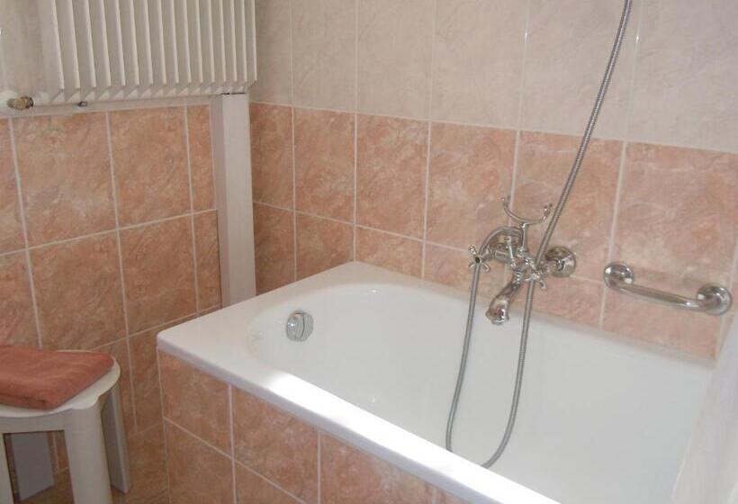 اتاق استاندارد با چشم‌انداز دریاچه, Swiss Lodge Nassa Garni