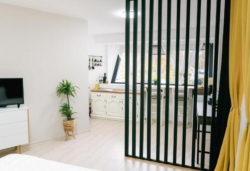 استودیوی سوپریور, Chic Studio