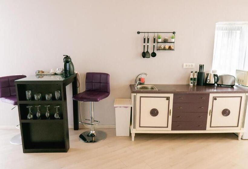 استودیوی استاندارد, Chic Studio