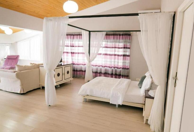 استودیوی استاندارد, Chic Studio