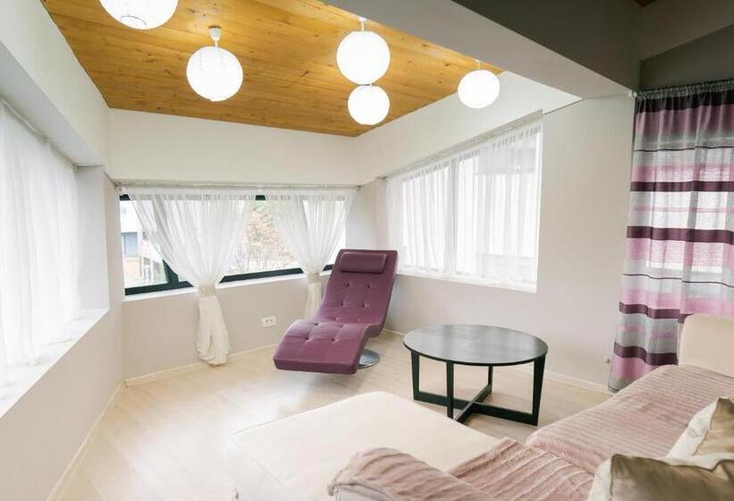 استودیوی استاندارد, Chic Studio
