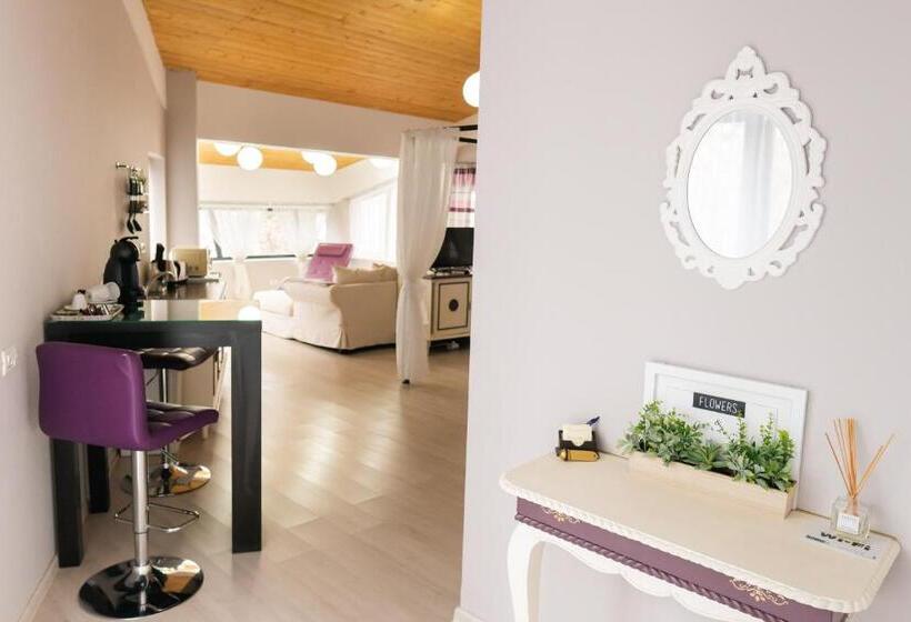 استودیوی استاندارد, Chic Studio