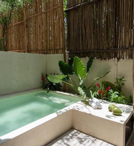 Apartamento Superior 1 Dormitório, Unho Tulum