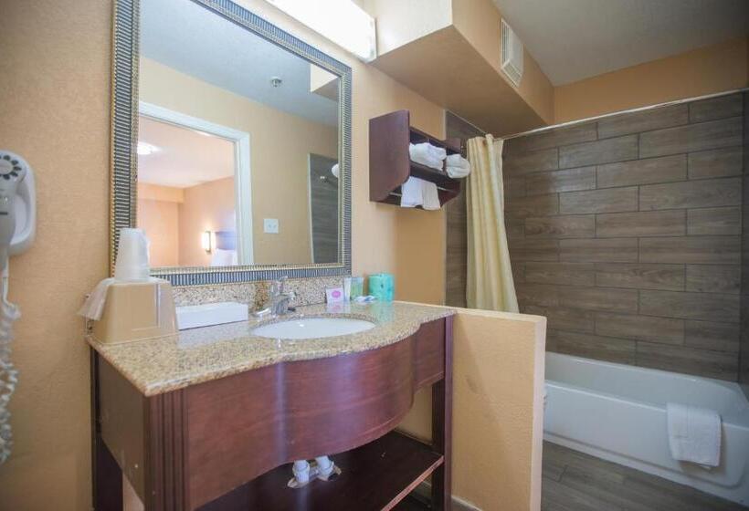 标准间, The Crossroads Hotel And Suites Irving