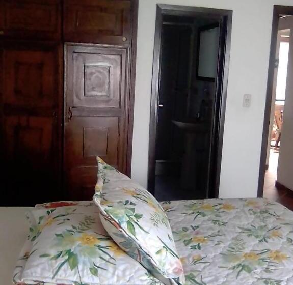 Номер Стандарт, Salamandra Tunja