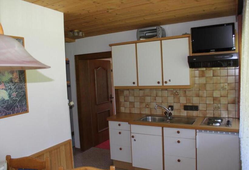 Апартаменты 2 Спальни, Otto Steiner Appartements Pension Ellmau & Wilder Kaiser
